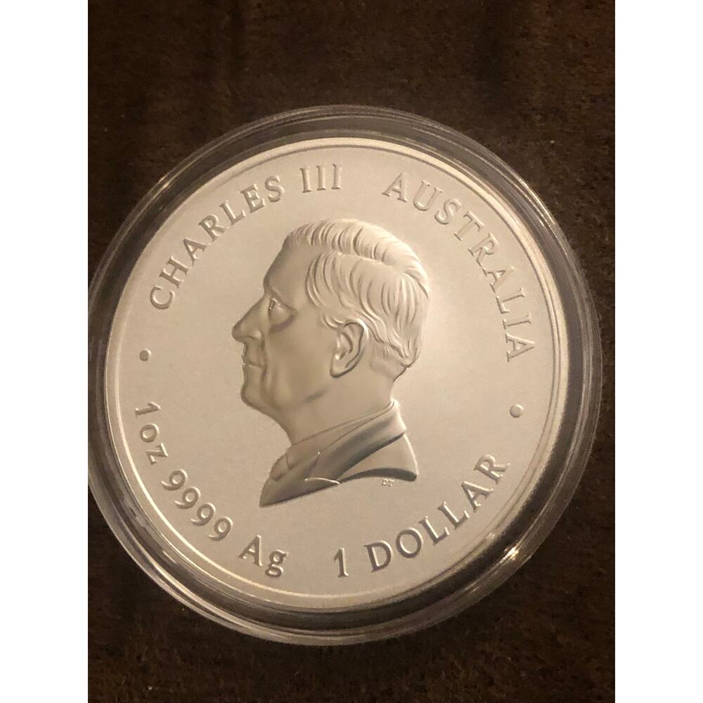 1 oz silver